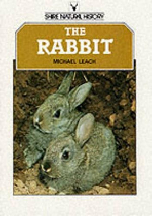 The Rabbit