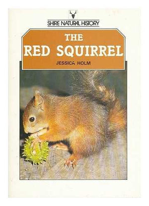 The Red Squirrel