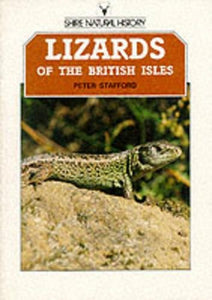 Lizards of the British Isles 
