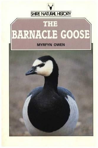 The Barnacle Goose