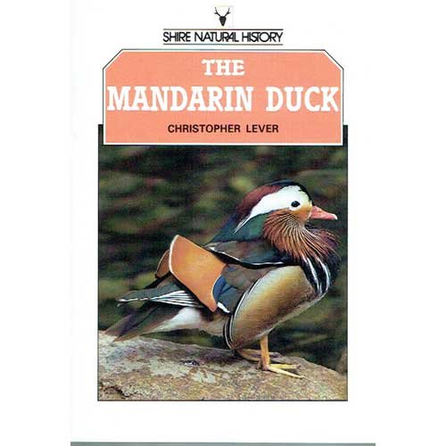 The Mandarin Duck