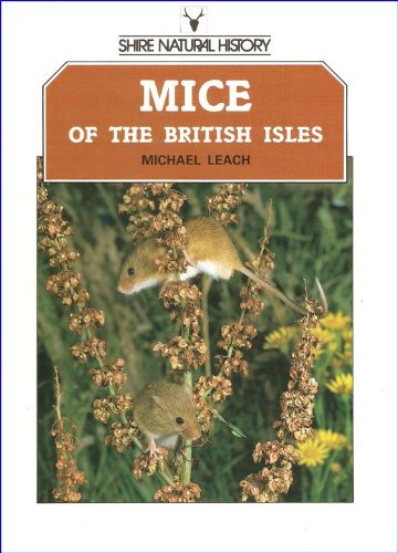 Mice of the British Isles