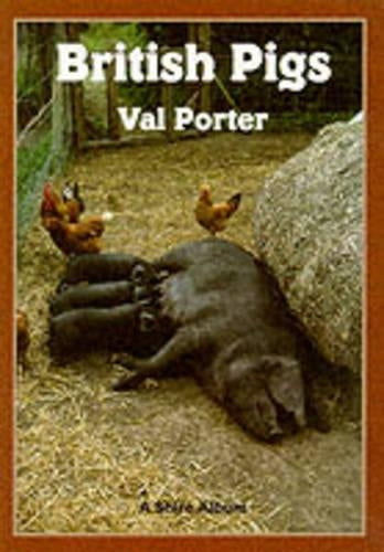 British Pigs