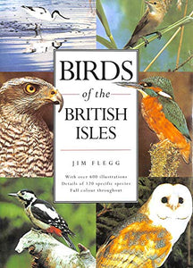 Birds of the British Isles 