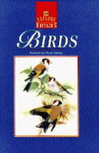 Explore Britain's Birds