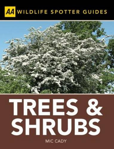 Trees and Shrubs