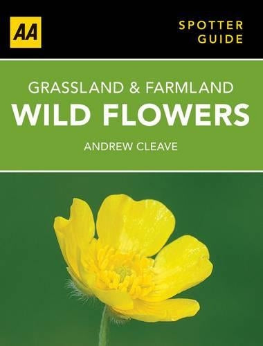 Wild Flowers