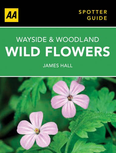 Wayside & Woodland Wild Flowers