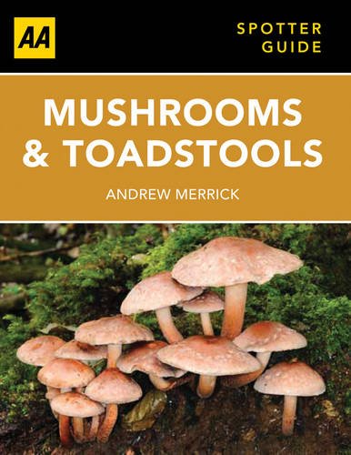 Mushrooms & Toadstalls