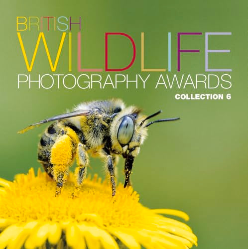 British Wildlife Photography Awards: Collection 6