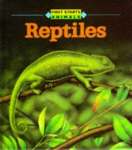 Reptiles 