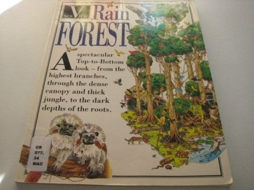 Rainforest