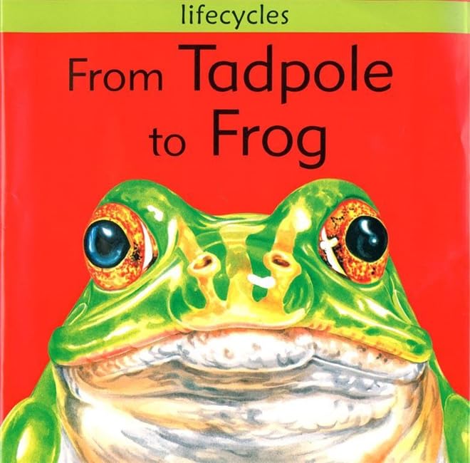 From Tadpole to Frog