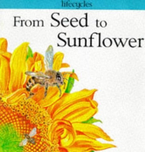From Seed to Sunflower
