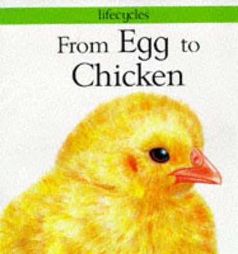 From Egg to Chicken