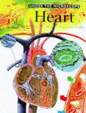 The Heart