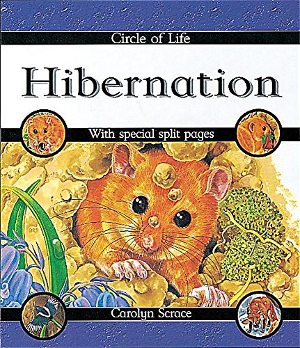 Hibernation