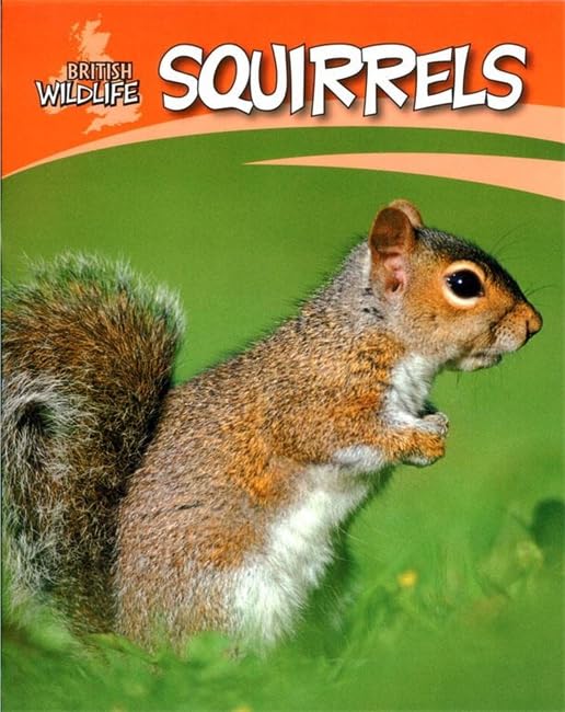 Squirrels