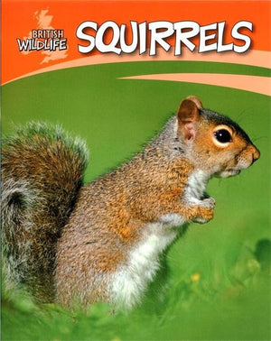 Squirrels