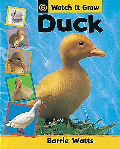 Watch It Grow: Duck