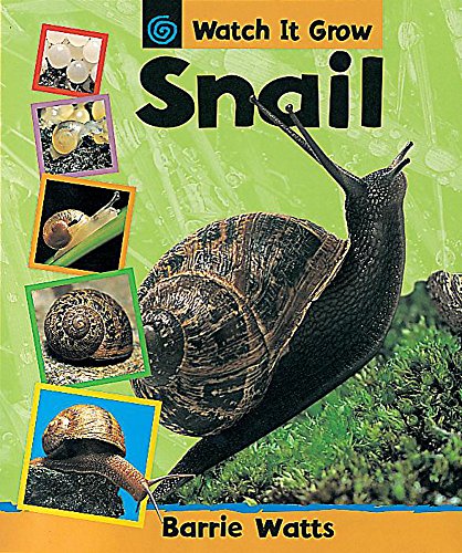 Watch It Grow: Snail