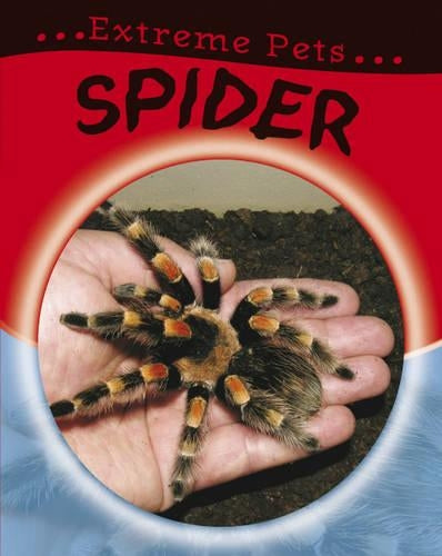 Spider