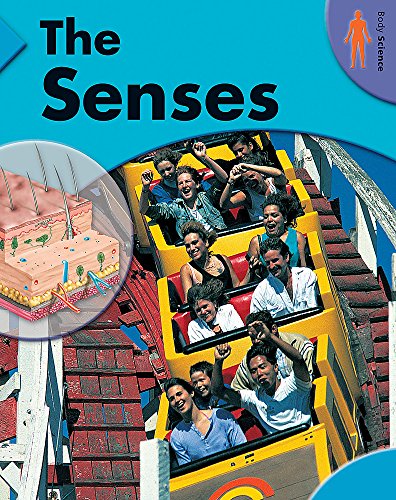 The Senses