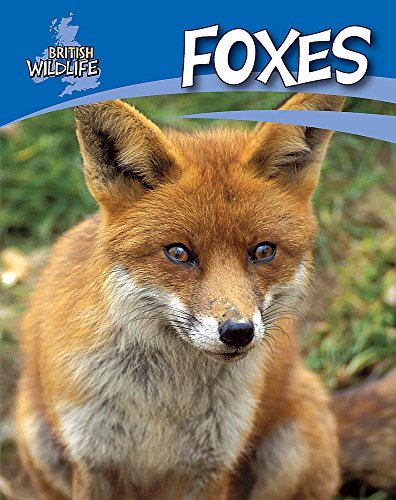 Foxes