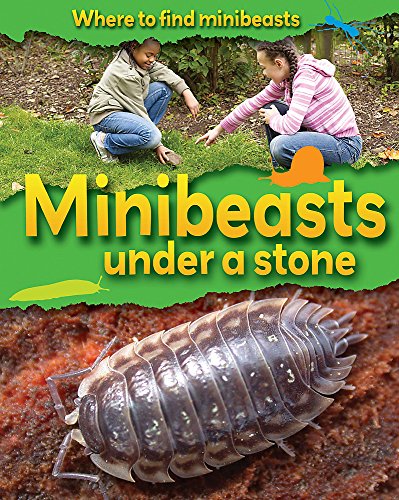 Minibeasts Under a Stone