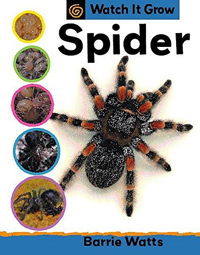 Watch It Grow: Spider