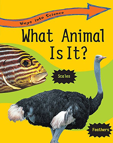 What Animal Is It?