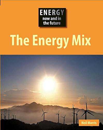 The Energy Mix