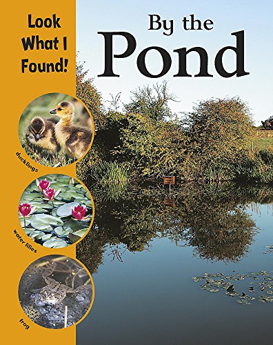 By The Pond