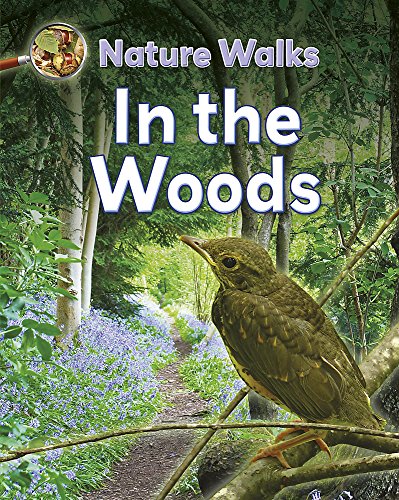 In the Woods