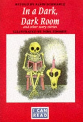 In a Dark, Dark Room