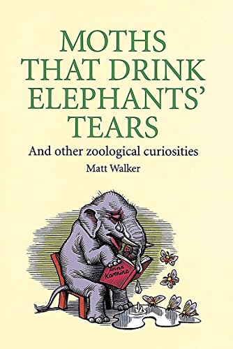 Moths That Drink Elephants' Tears