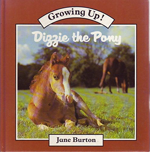Dizzy the Pony