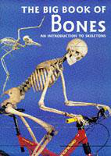 The Big Book of Bones