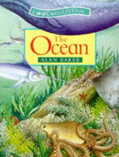 The Ocean