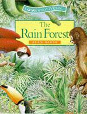 The Rain Forest