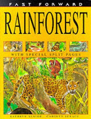 Rainforest