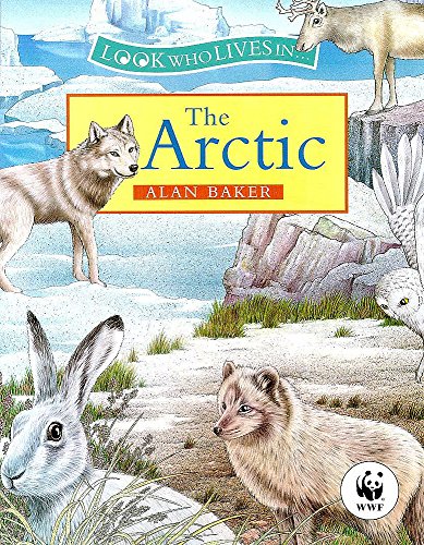 The Arctic