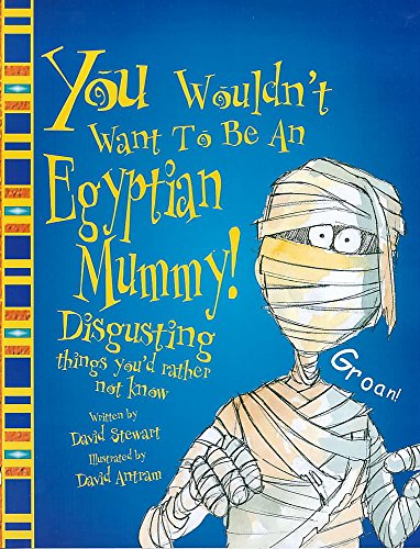 An Egyptian Mummy