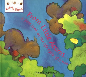 From Little Acorns...