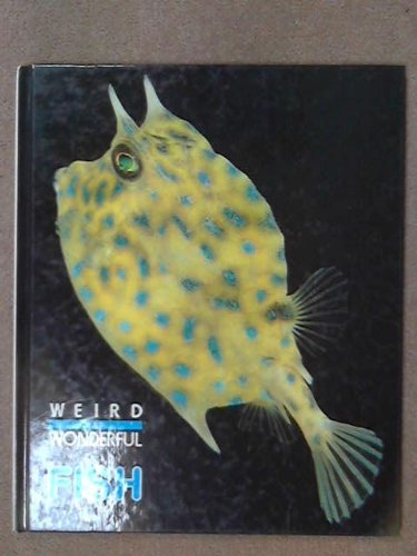 Weird And Wonderful
