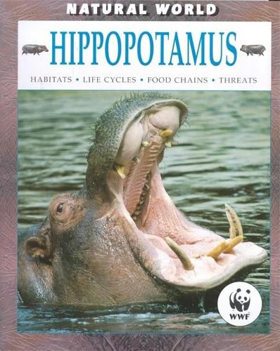 Hippopotamus