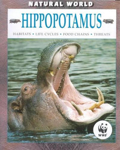 Hippopotamus 