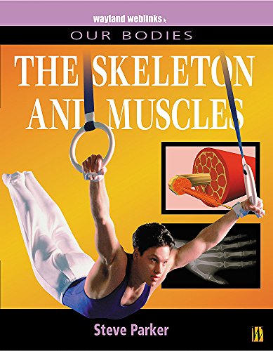 Muscles and Skeleton