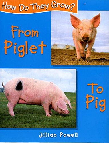 Piglet to Pig