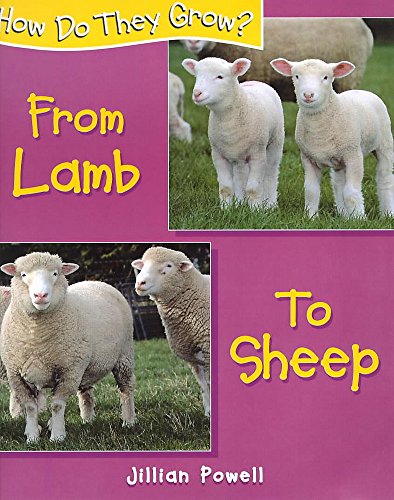 Lamb to Sheep
